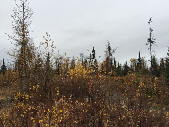 63885 Tailwind Rd, Ninilchik, AK 99639